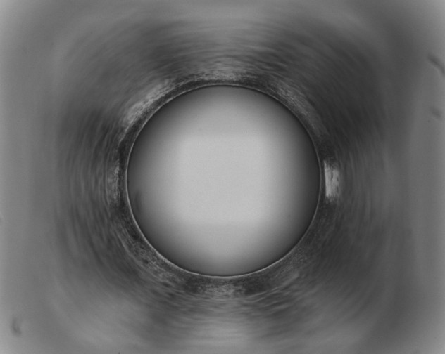 X0000103420675200809191638