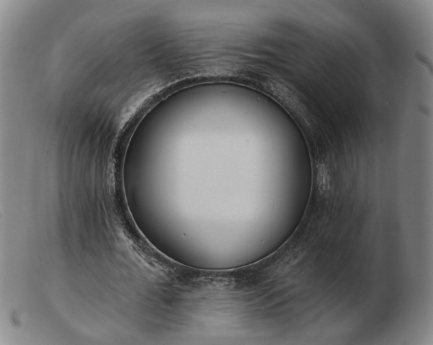 X0000103420676200809191638