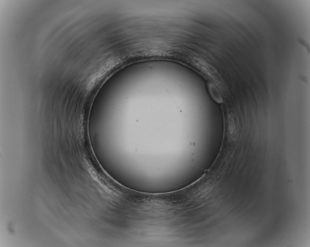 X0000103420677200809191638