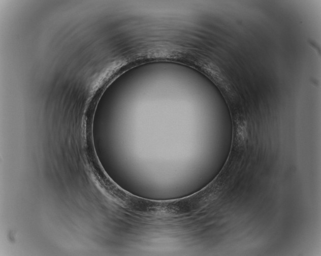 X0000103420678200809191638