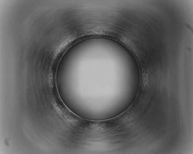 X0000103420680200809191638