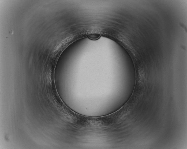 X0000103420681200809191638