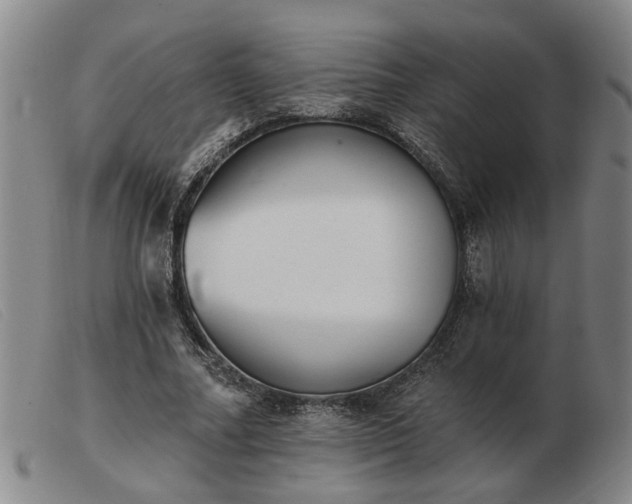 X0000103420682200809191638