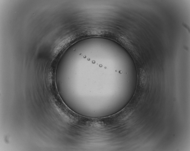 X0000103420683200809191638