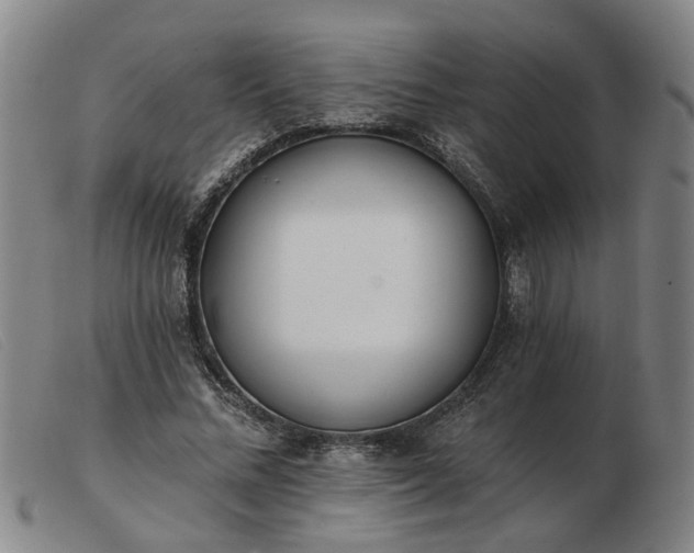 X0000103420684200809191638