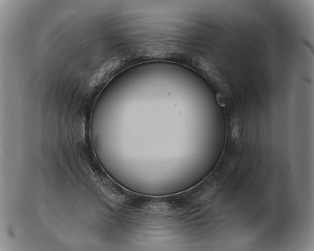 X0000103420685200809191638