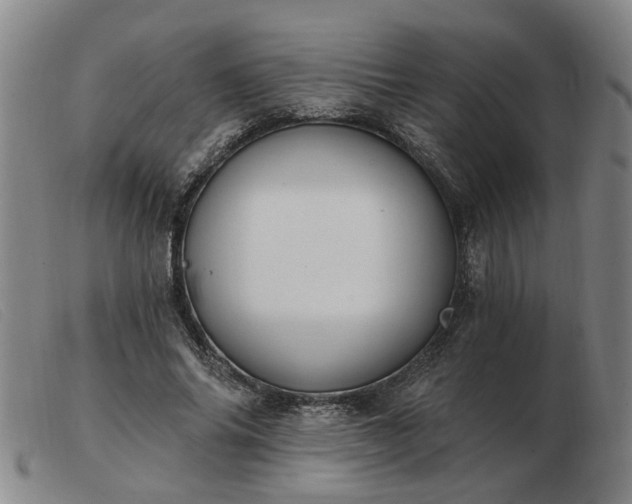 X0000103420686200809191638
