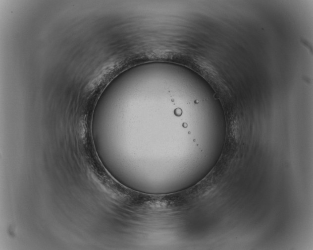 X0000103420687200809191638