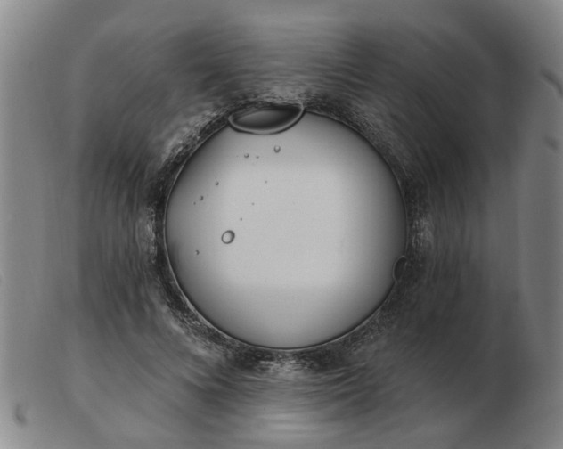X0000103420688200809191638
