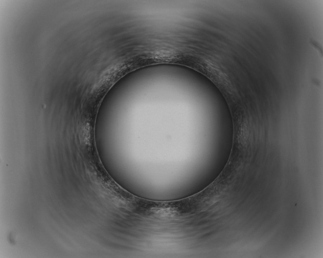X0000103420689200809191638