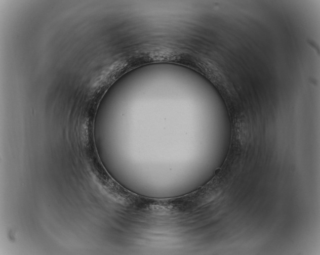 X0000103420690200809191638