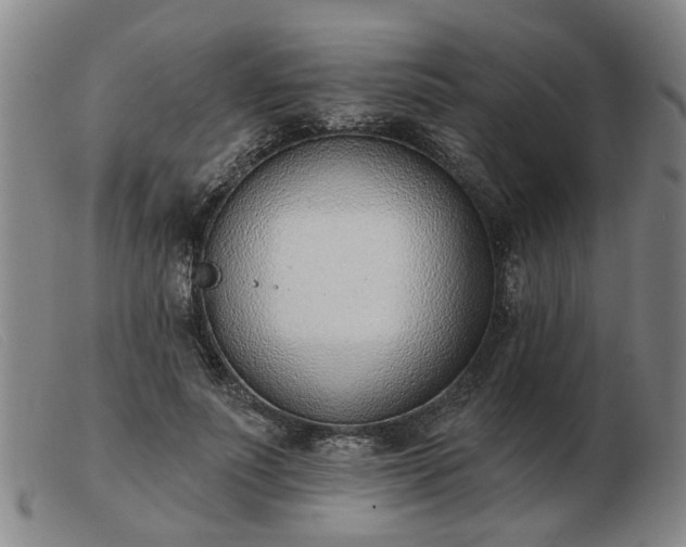 X0000103420691200809191638