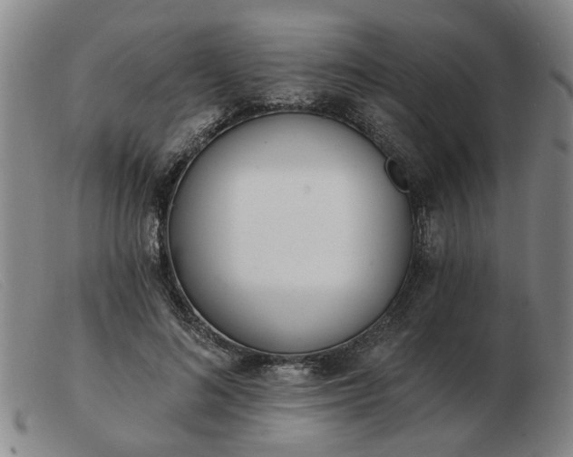 X0000103420692200809191638