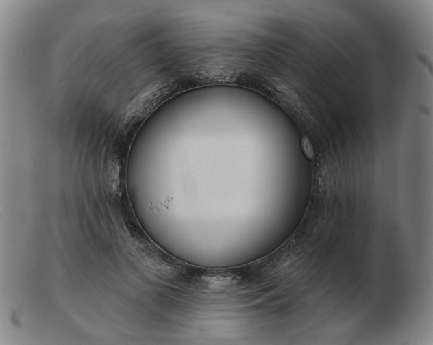 X0000103420693200809191638