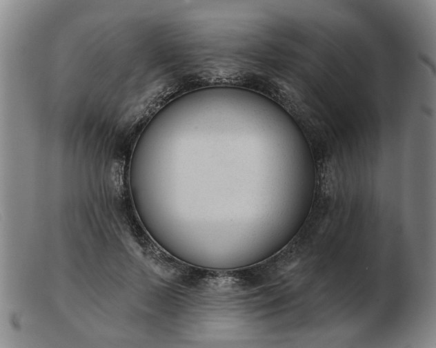 X0000103420695200809191638