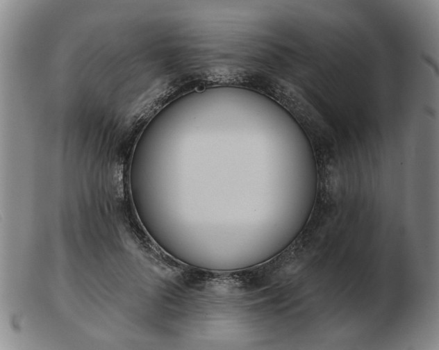 X0000103420696200809191638