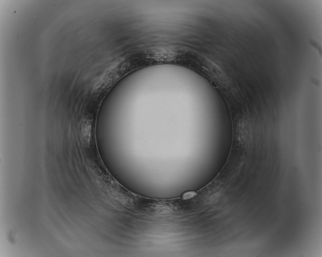 X0000103420697200809191638