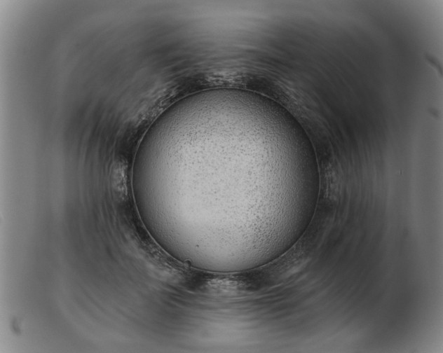 X0000103420699200809191638