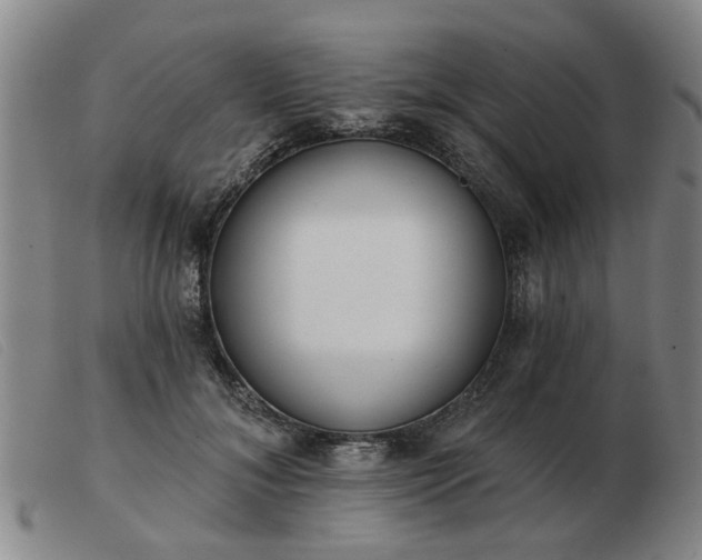 X0000103420700200809191638
