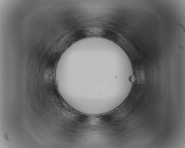 X0000103420701200809191638