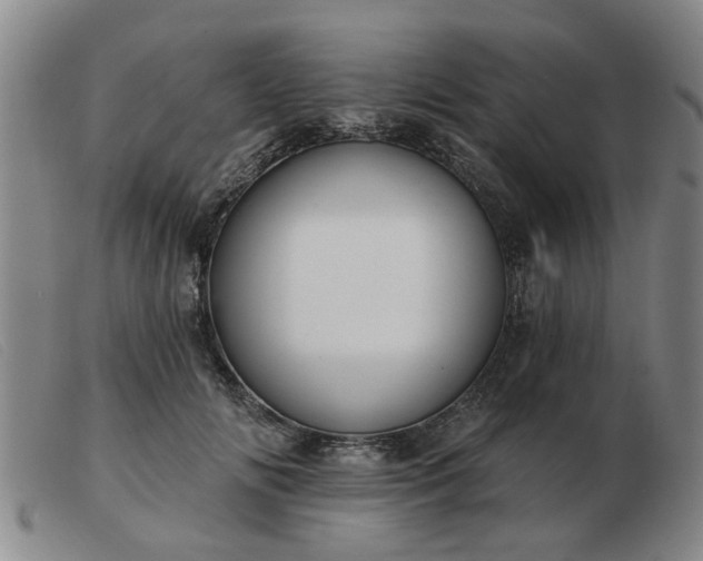 X0000103420702200809191638