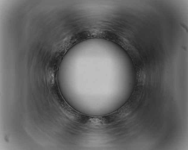 X0000103420703200809191638