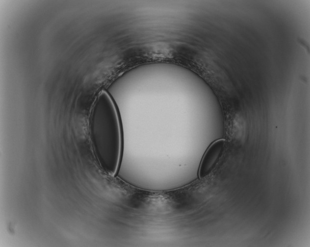 X0000103420704200809191638