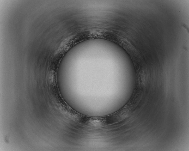 X0000103420706200809191637