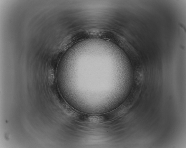 X0000103420707200809191637