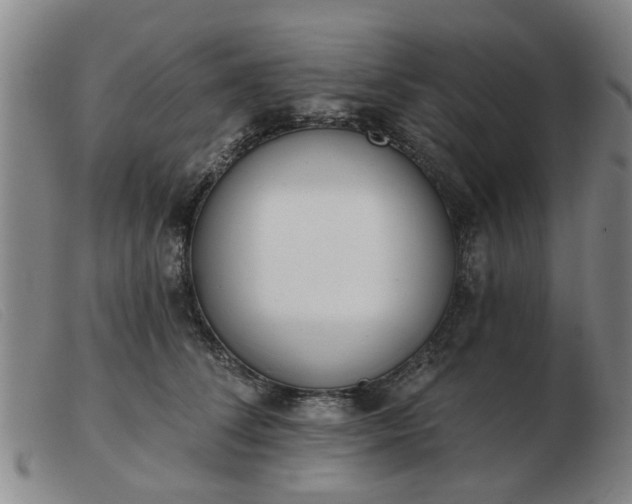 X0000103420708200809191637