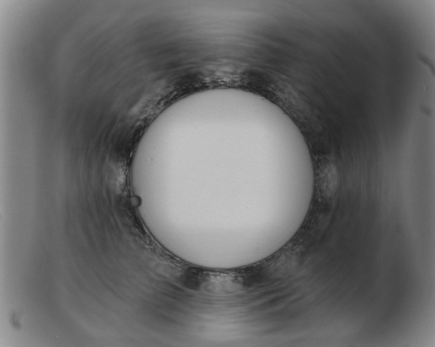 X0000103420709200809191637