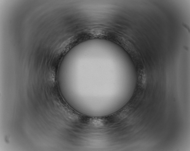 X0000103420710200809191637
