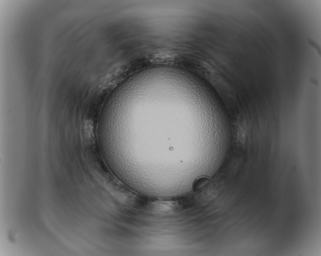 X0000103420711200809191637