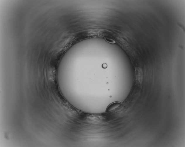 X0000103420712200809191637