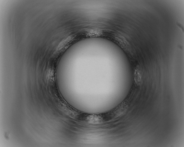 X0000103420714200809191637