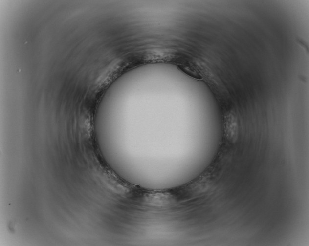 X0000103420716200809191637