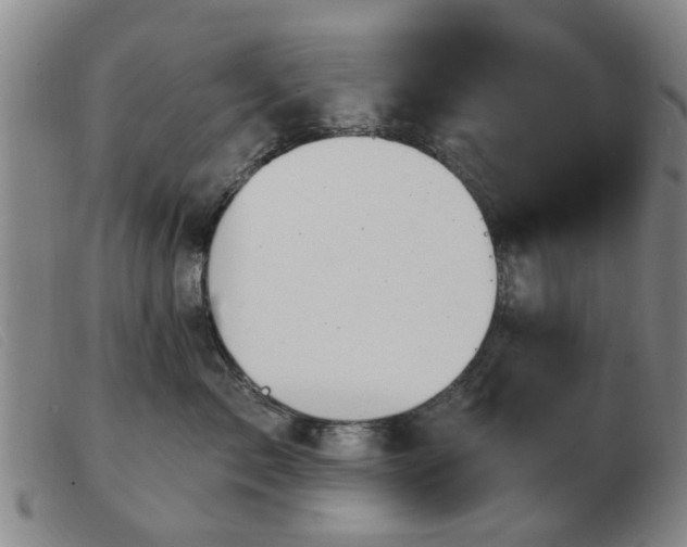 X0000103420717200809191637