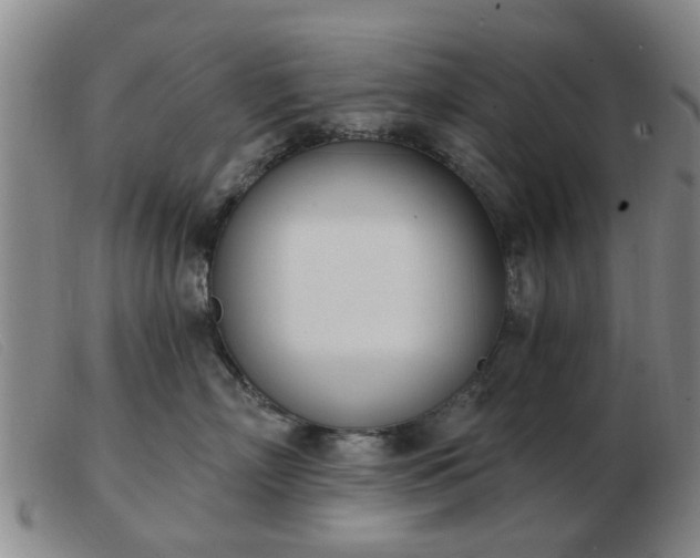 X0000103420718200809191637