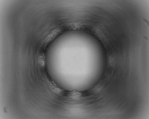 X0000103420719200809191637