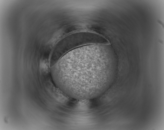 X0000103420720200809191637