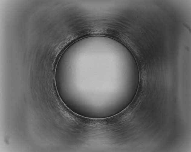 X0000103420721200809191637