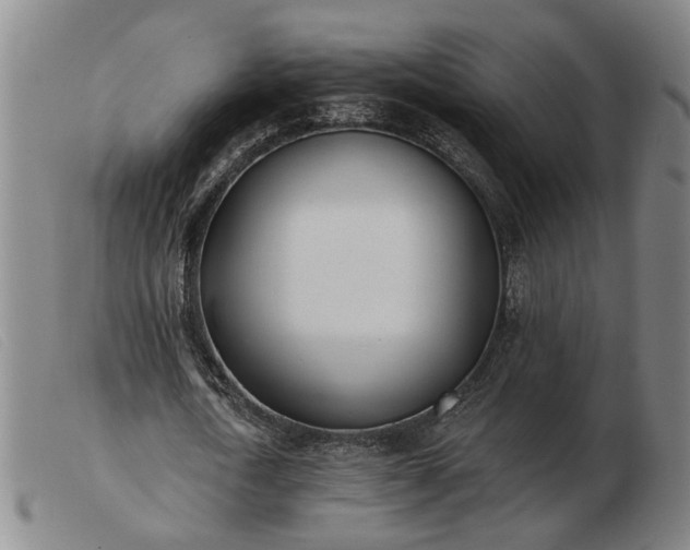 X0000103420722200809191637