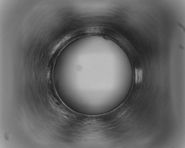 X0000103420723200809191637
