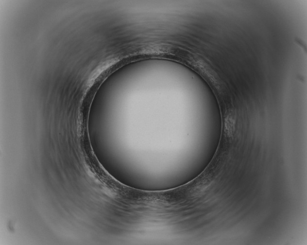 X0000103420724200809191637