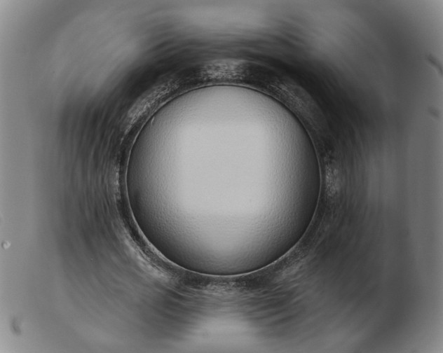 X0000103420725200809191637