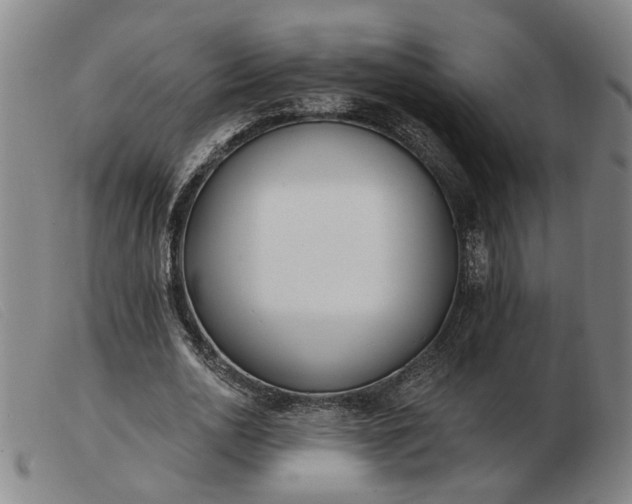 X0000103420726200809191637