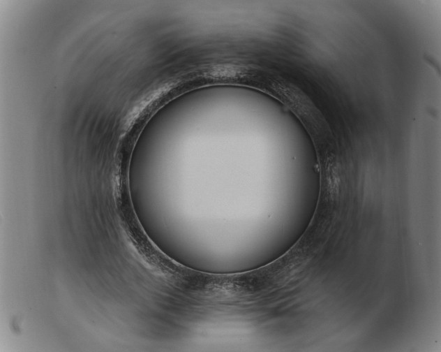 X0000103420728200809191637