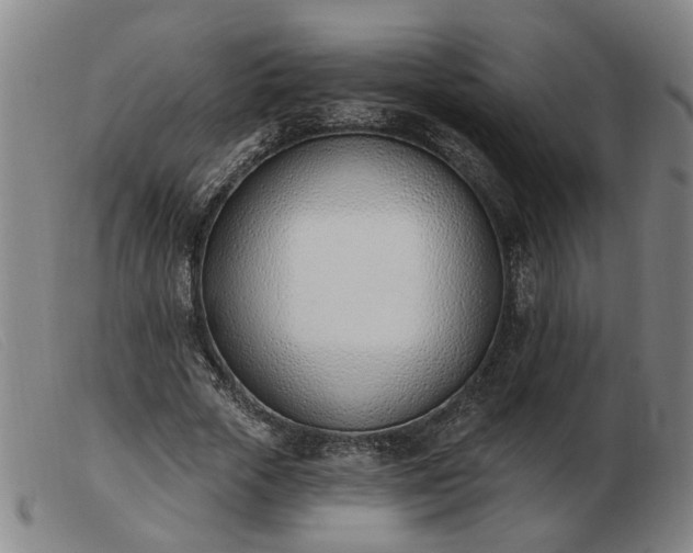 X0000103420729200809191637