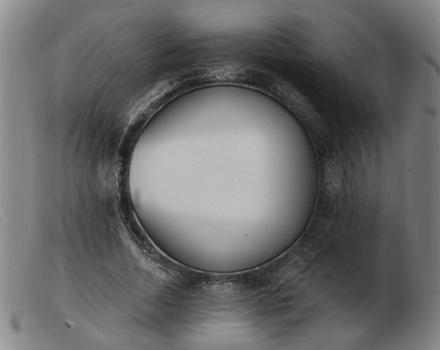 X0000103420730200809191637