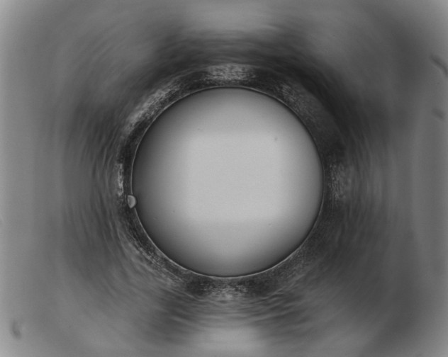 X0000103420731200809191637